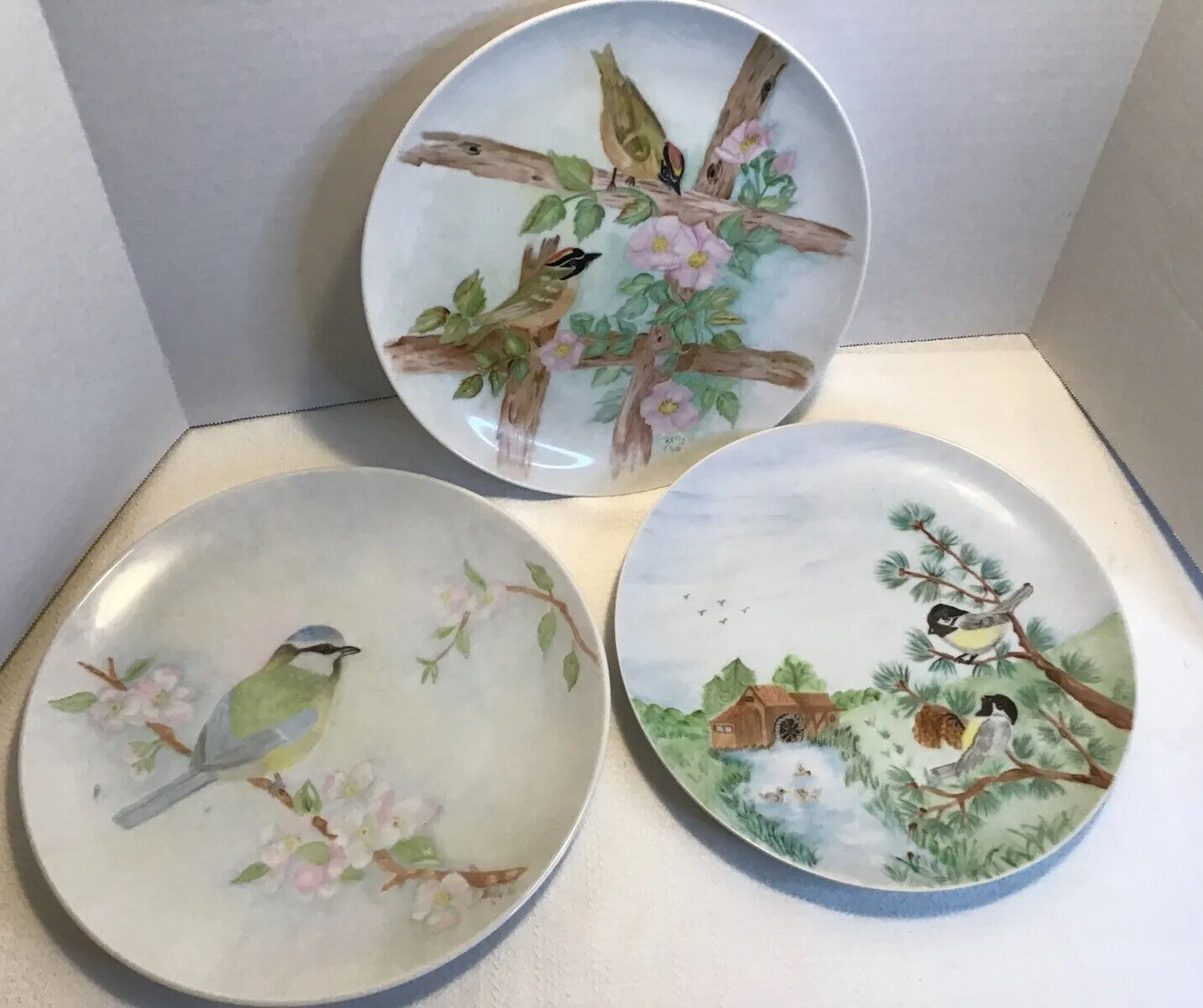 Plates Display, Birds, Hand Painted Vintage 9.5” 3 Ct Set