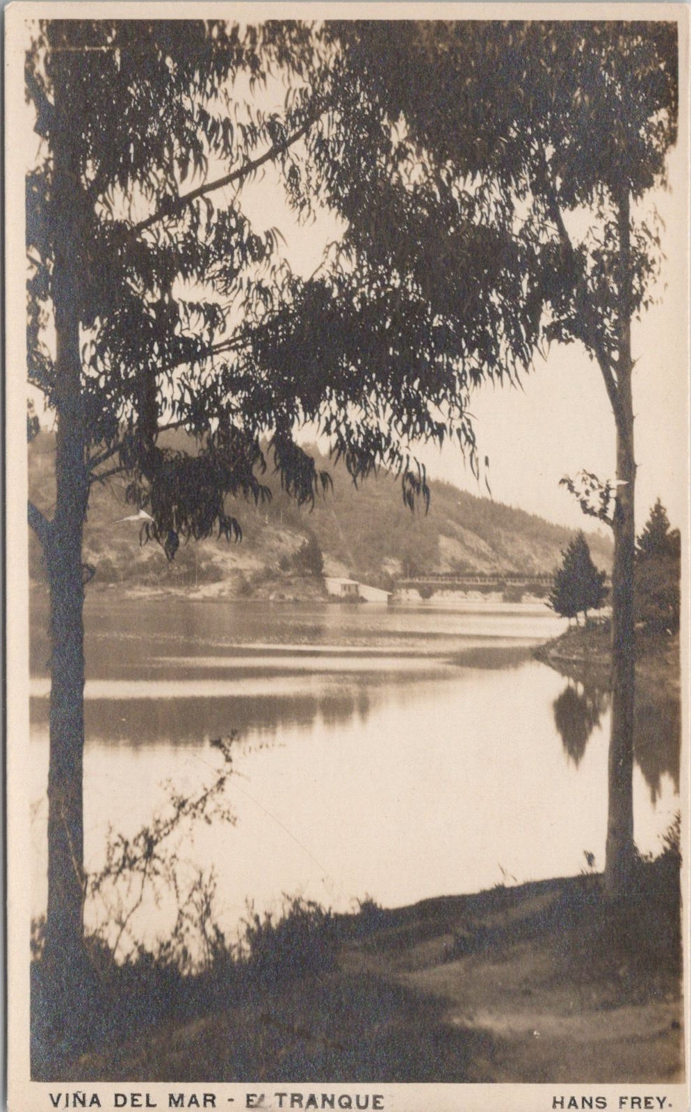 RPPC Valparaiso Chile Vina Del Mar El Tranque c. 1930s