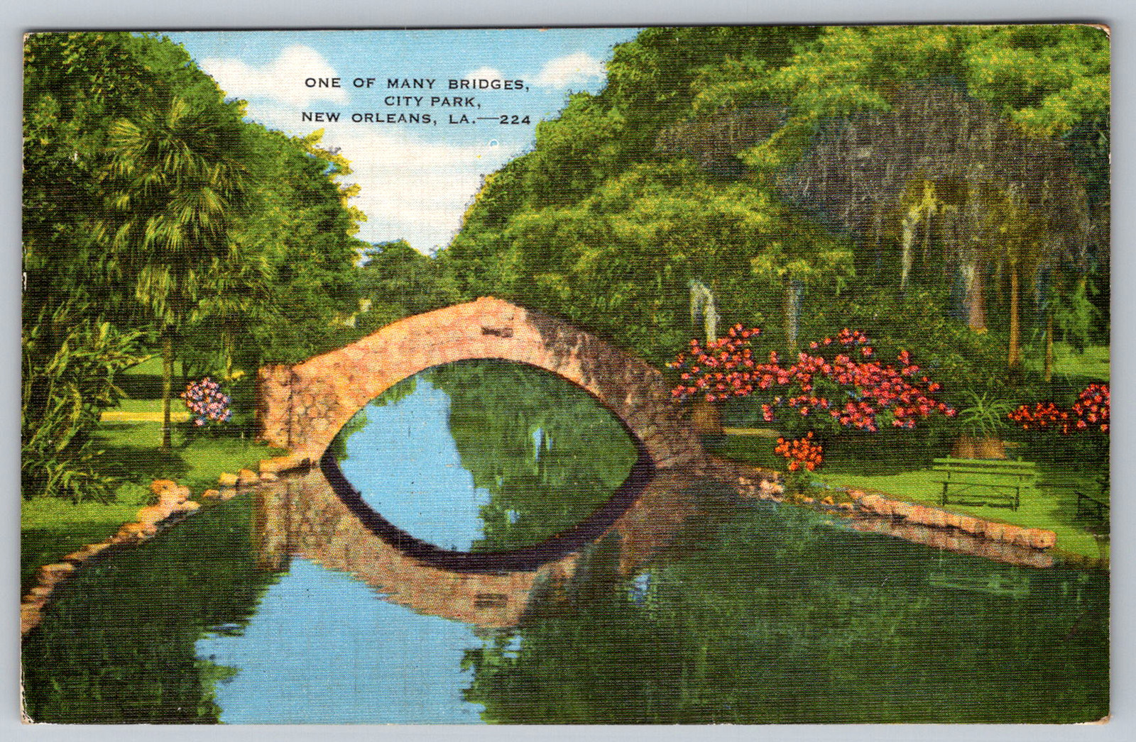 c1940s New Orleans LA City Park Bridge Scenic View Postcard