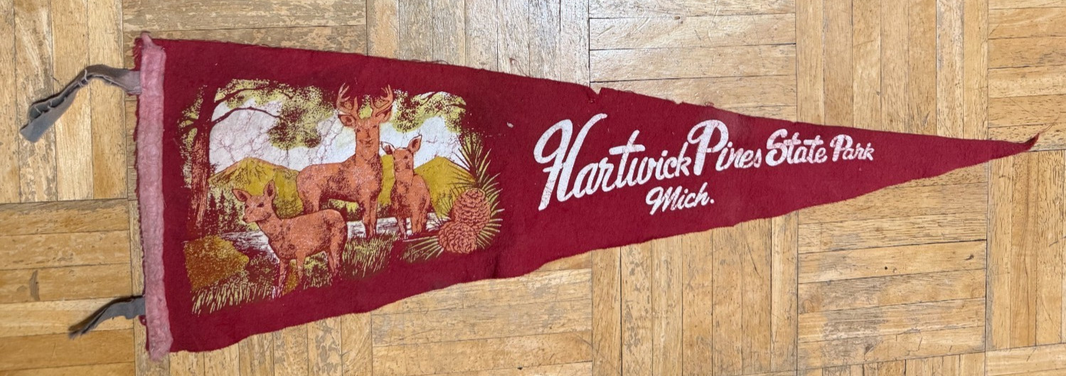 Vintage Hartwick Pines State Park Mich. - 25