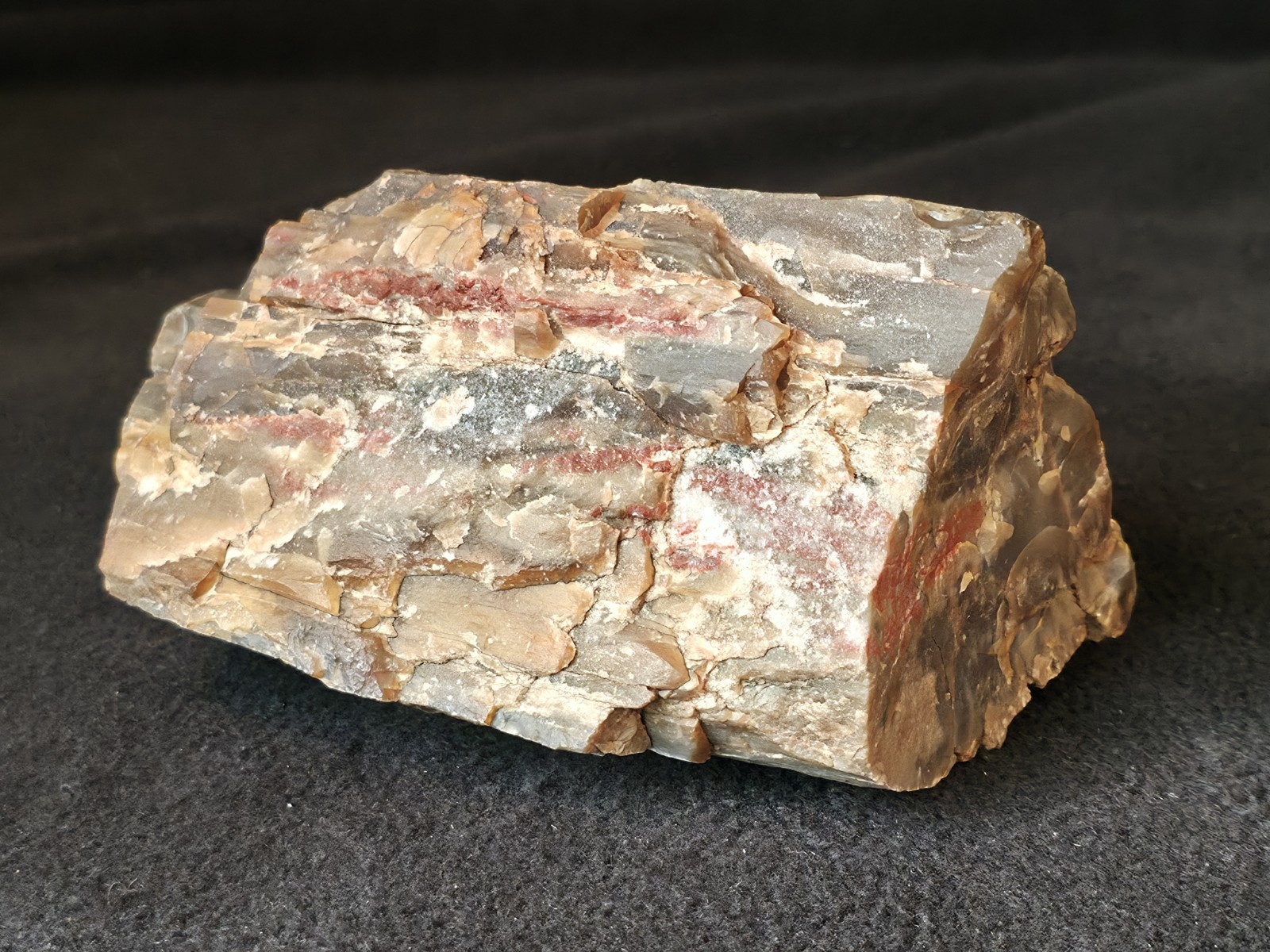 2lb 9.9oz Gray and Red Petrified Wood from Northeastern Arizona
