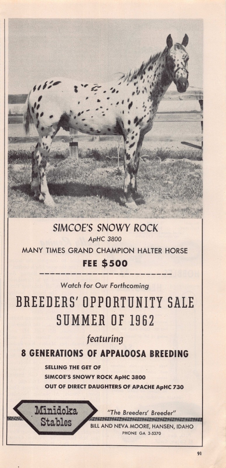 Bill & Neva Moore Hansen Idaho Minidoka Stables Breeder Opportunity Vtg Print Ad