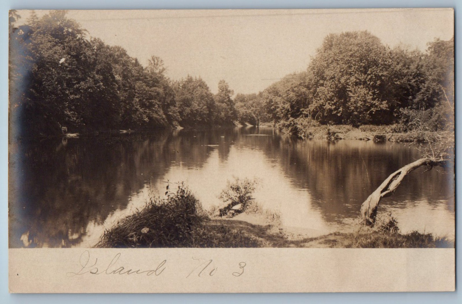 c1905 Island Park Lake Scene Trees Grand Ledge Michigan MI RPPC Photo Postcard