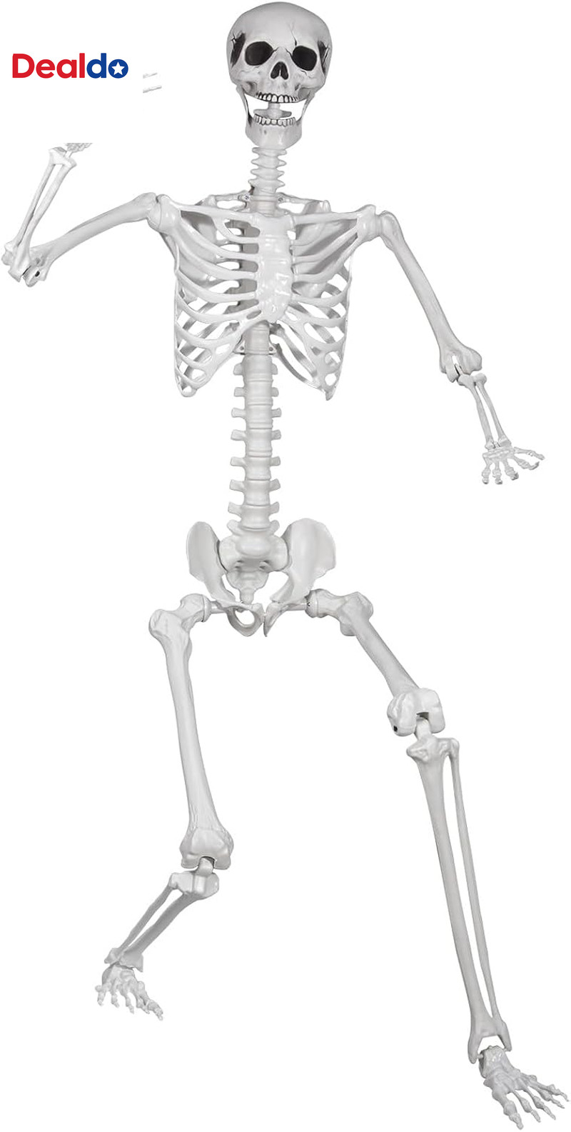 5.9Ft/180Cm Posable Halloween Skeleton, Life Size Skeleton Bones with Movable Jo