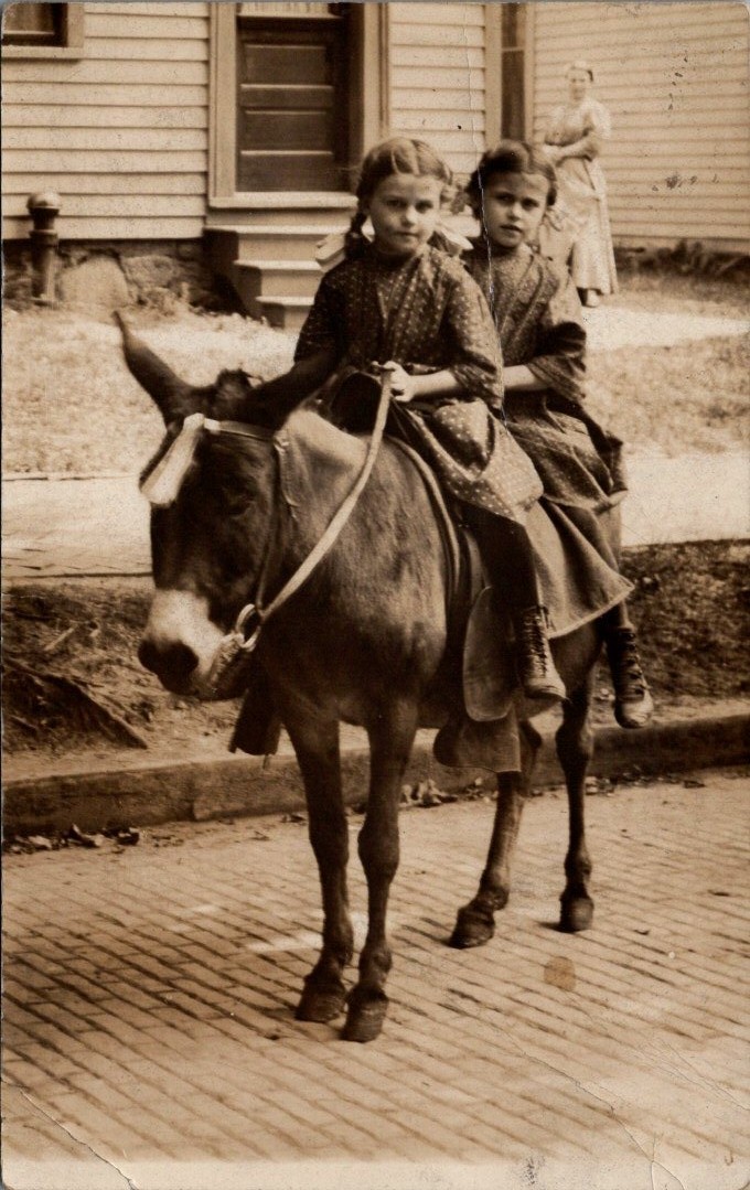 Two Girls Riding a Burro - HORSE Real Photo Postcard Two Girls Riding a Burro - HORSE Real Photo Postcard