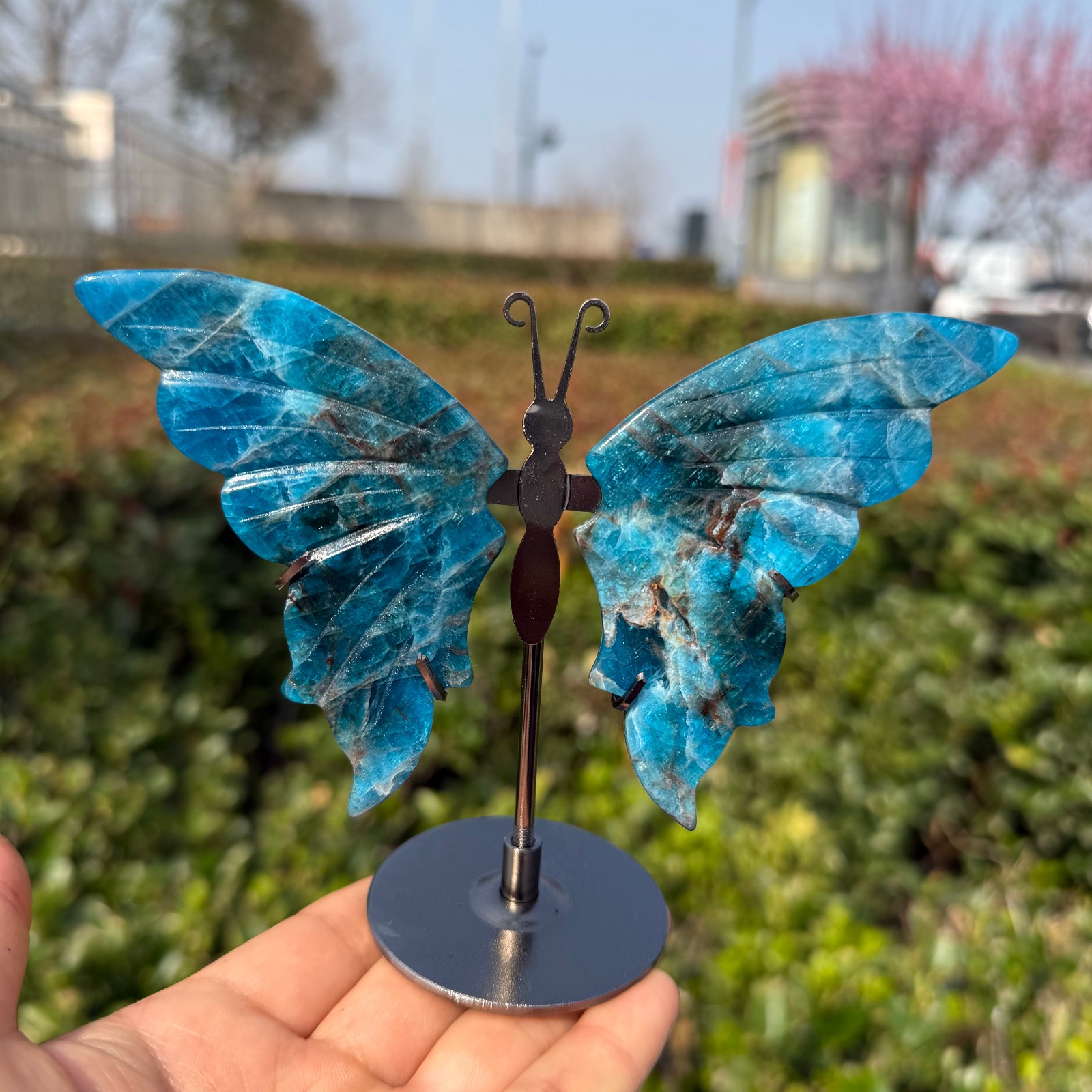 5.2'' natural Blue phosphorous ash Butterfly Wing Reiki Crystal Skull Decor 1pc