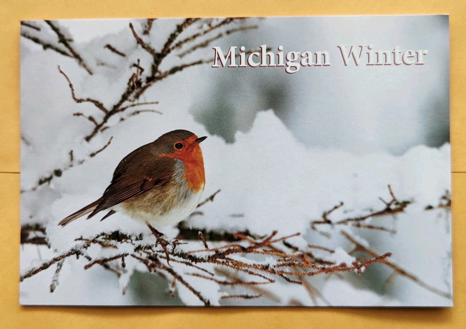 Postcard MI: Michigan Seasons. Winter, Bird Postcard MI: Michigan Seasons. Winter, Bird