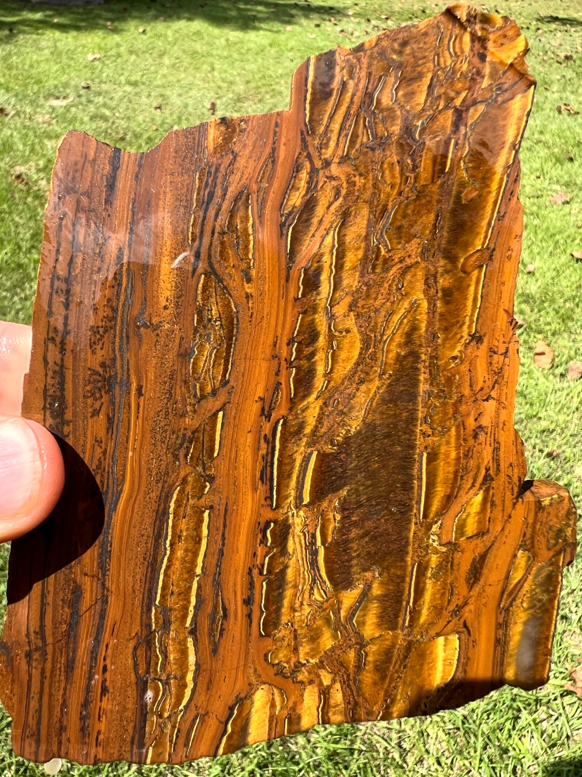Very Cool Australian Tiger Iron Slab - 222g