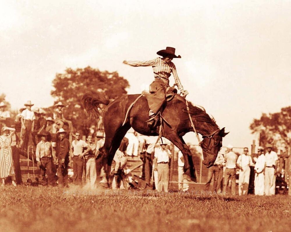 Pendleton Rodeo Riding A Bronc Horse Cowgirl 8 x 10 photo Vintage Rodeo Photos