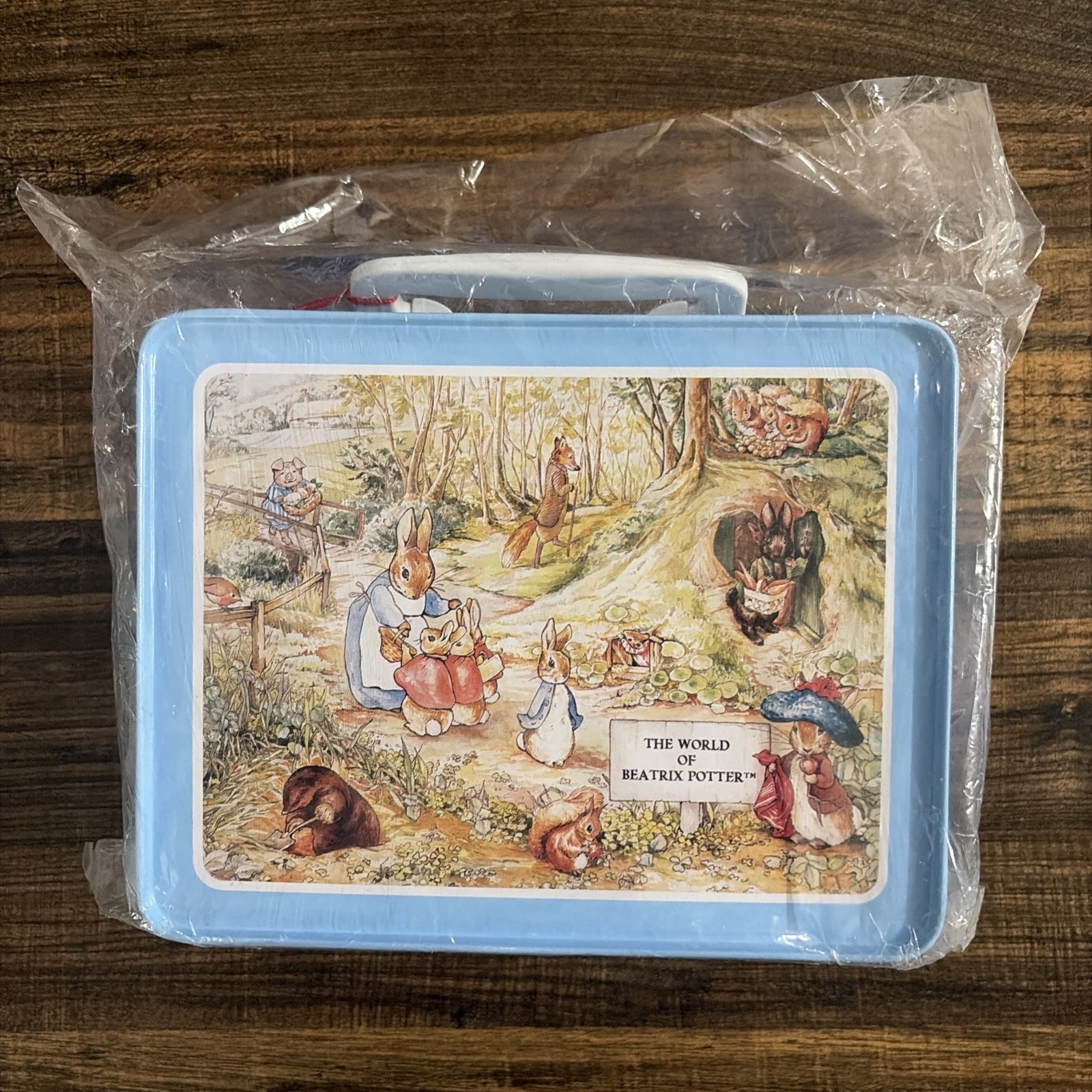 Vintage 1998 Beatrix Potter Peter Rabbit & Friends Metal Lunch Box