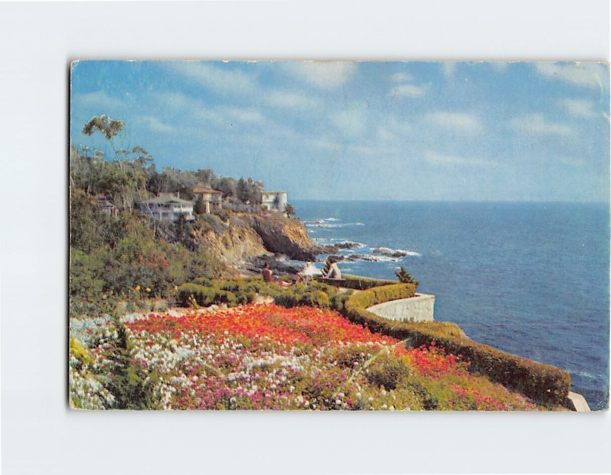 Postcard An Oceanside Garden Laguna Beach California USA