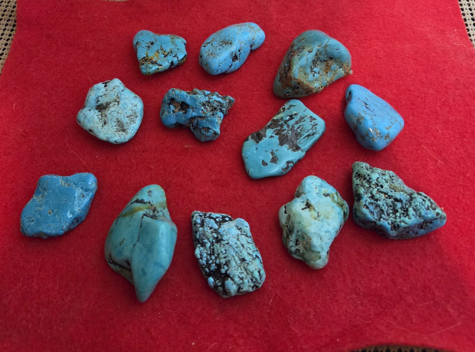 High Grade Polished Kingman (12) Turquoise Nuggets from AZ 250 Grams