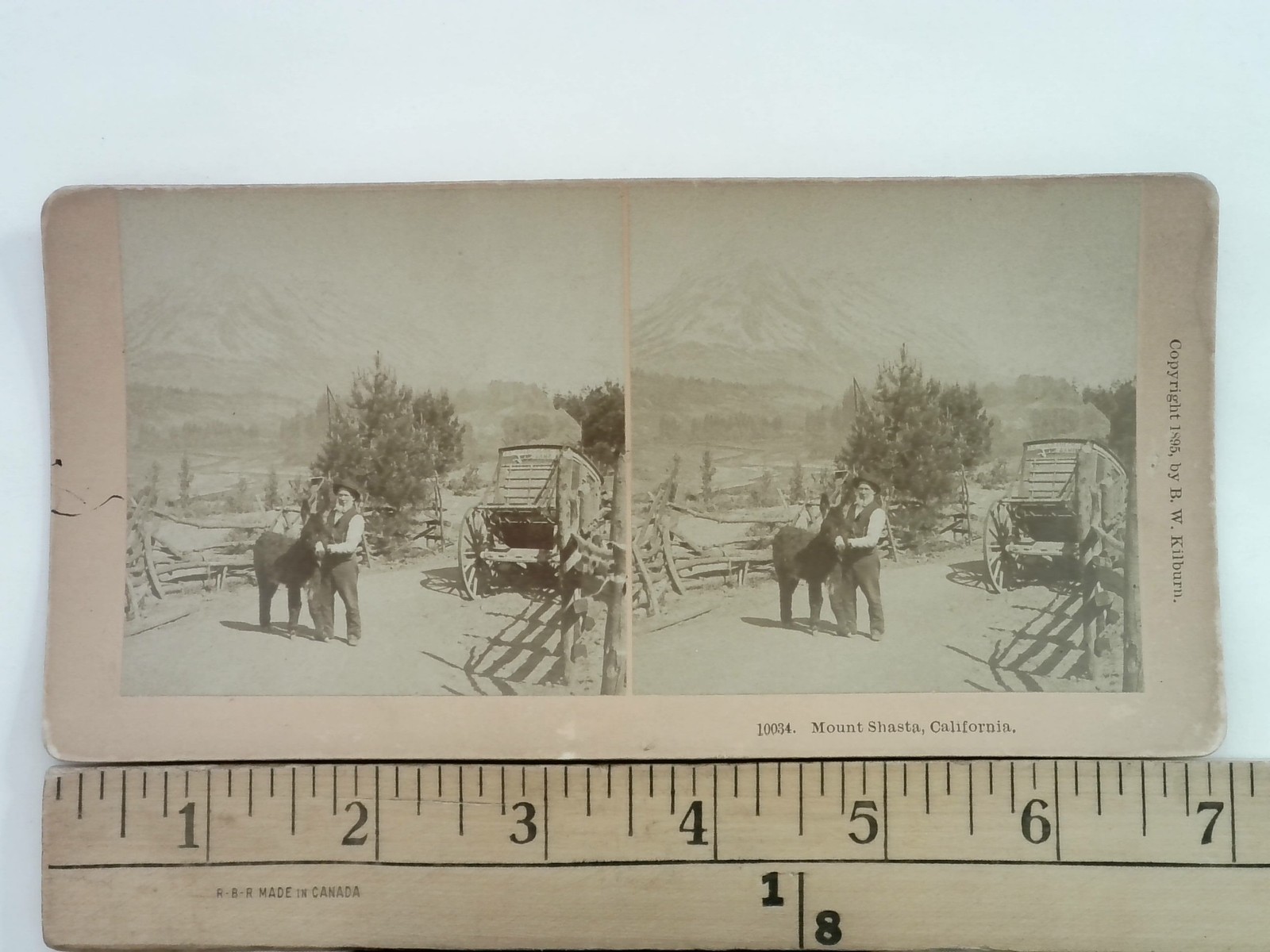 Mount Shasta Stereoview B.W. Kilburn California 1895 Man Donkey Wagon Mount Shasta Stereoview B.W. Kilburn California 1895 Man Donkey Wagon