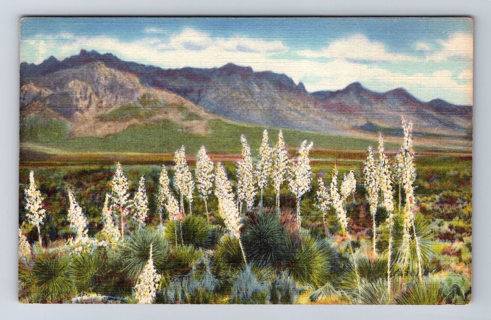 NM-New Mexico, Florida Mountains, Southern New Mexico, Vintage Postcard