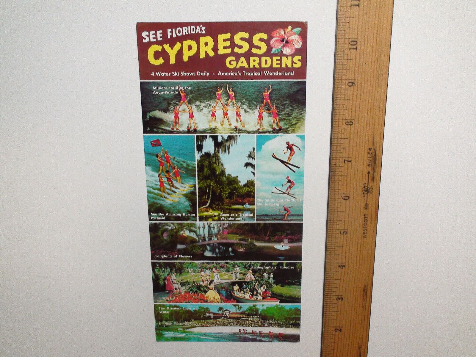 See Florida\'s Cypress Gardens Pamphlet / Brochure - Rates Hours Attractions