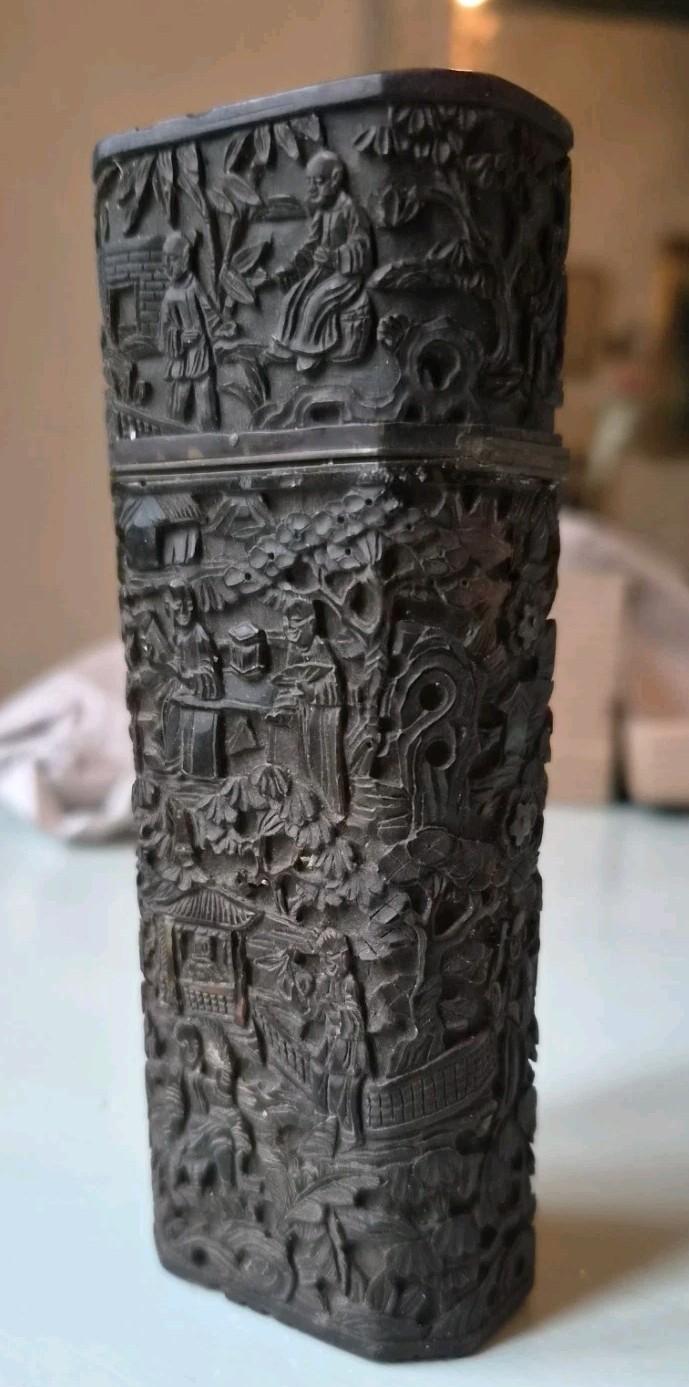 Rare handcarved Chinese Tortoise shell case & cover, 19th century, Qing Dynastie Rare handcarved Chinese Tortoise shell case & cover, 19th century, Qing Dynastie