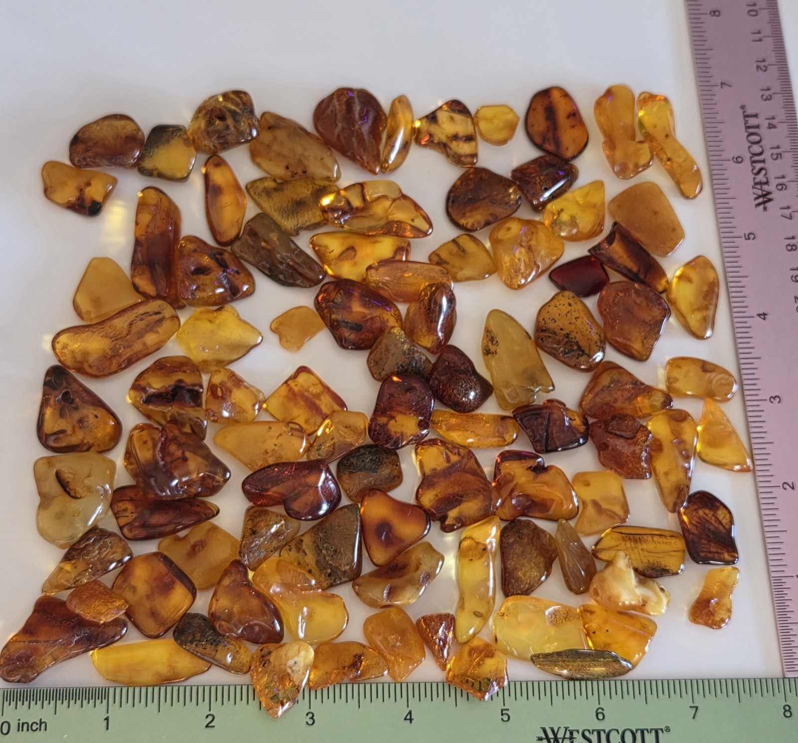 KCGS Bulk Natural Polished Raw Baltic Amber Stones Over 140g #0201 80+pcs