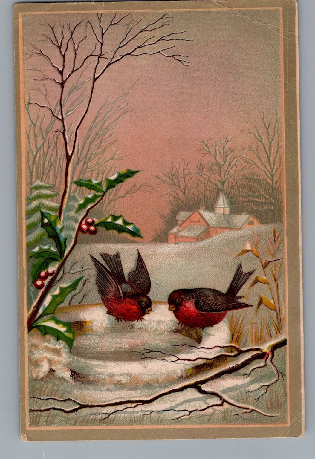 Victorian Trade Card Winter Birds Snow Holly Victorian Christmas Scrap