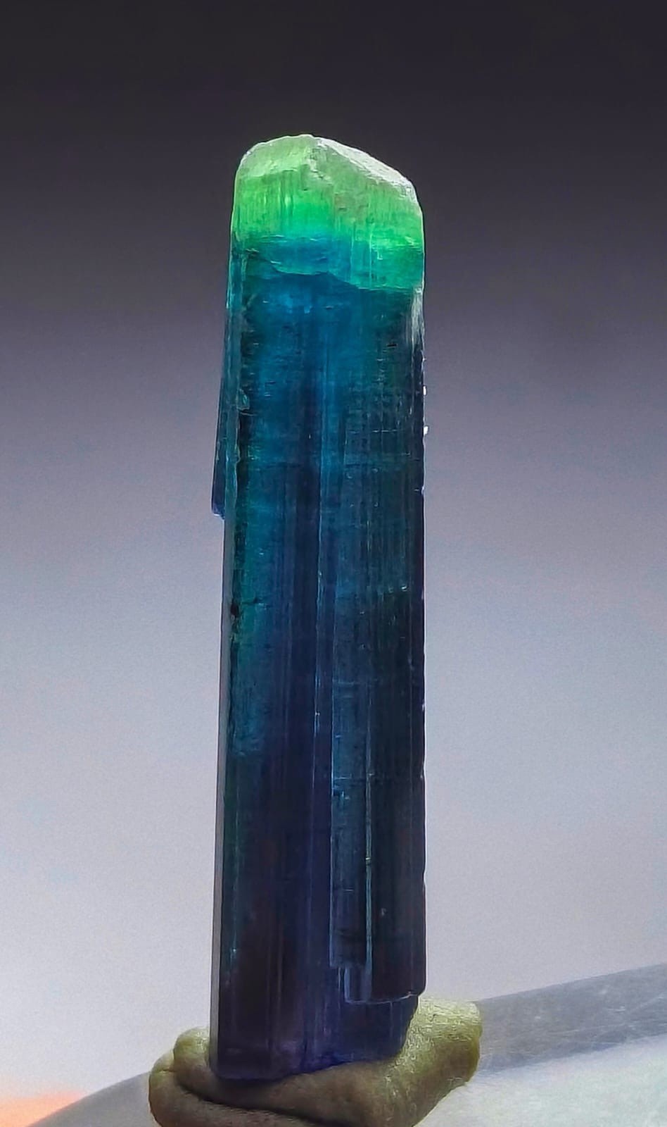 Amazing Indicolite Terminated Tourmaline Crystal From Afghanistan