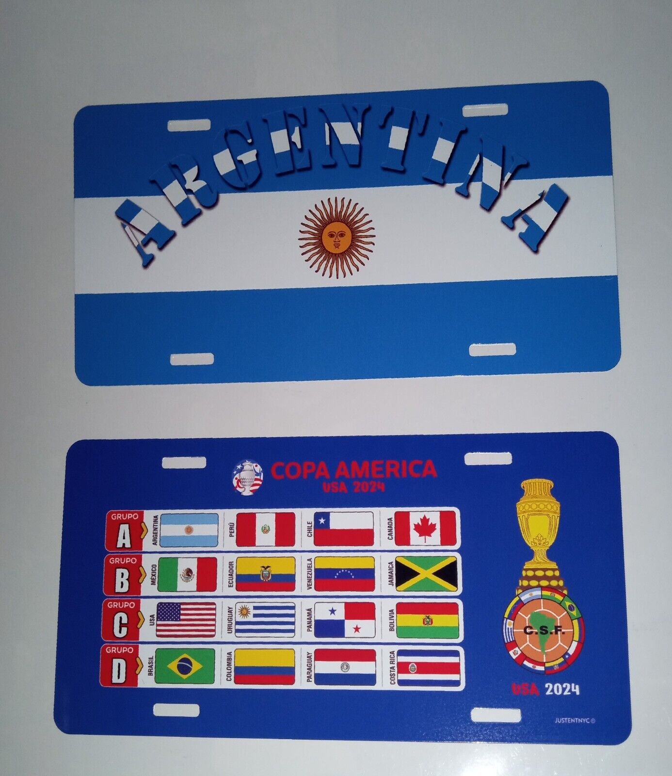 2 ARGENTINA GIFTS: 1 ARGENTINA  LICENSE PLATE + 1 COPA AMERICA LICENSE PLATE $30