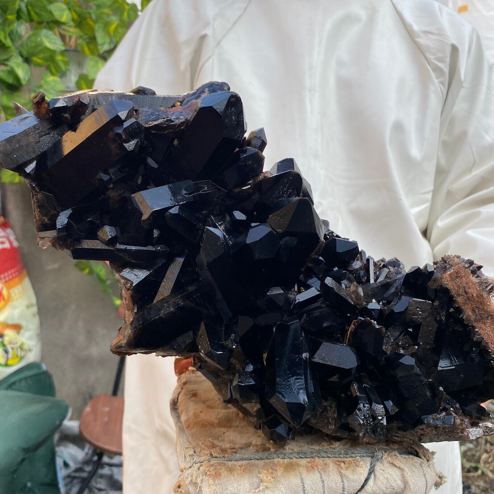 18.3lb Large Natural Black Smoky Quartz Crystal Cluster Point Raw Mineral Specim