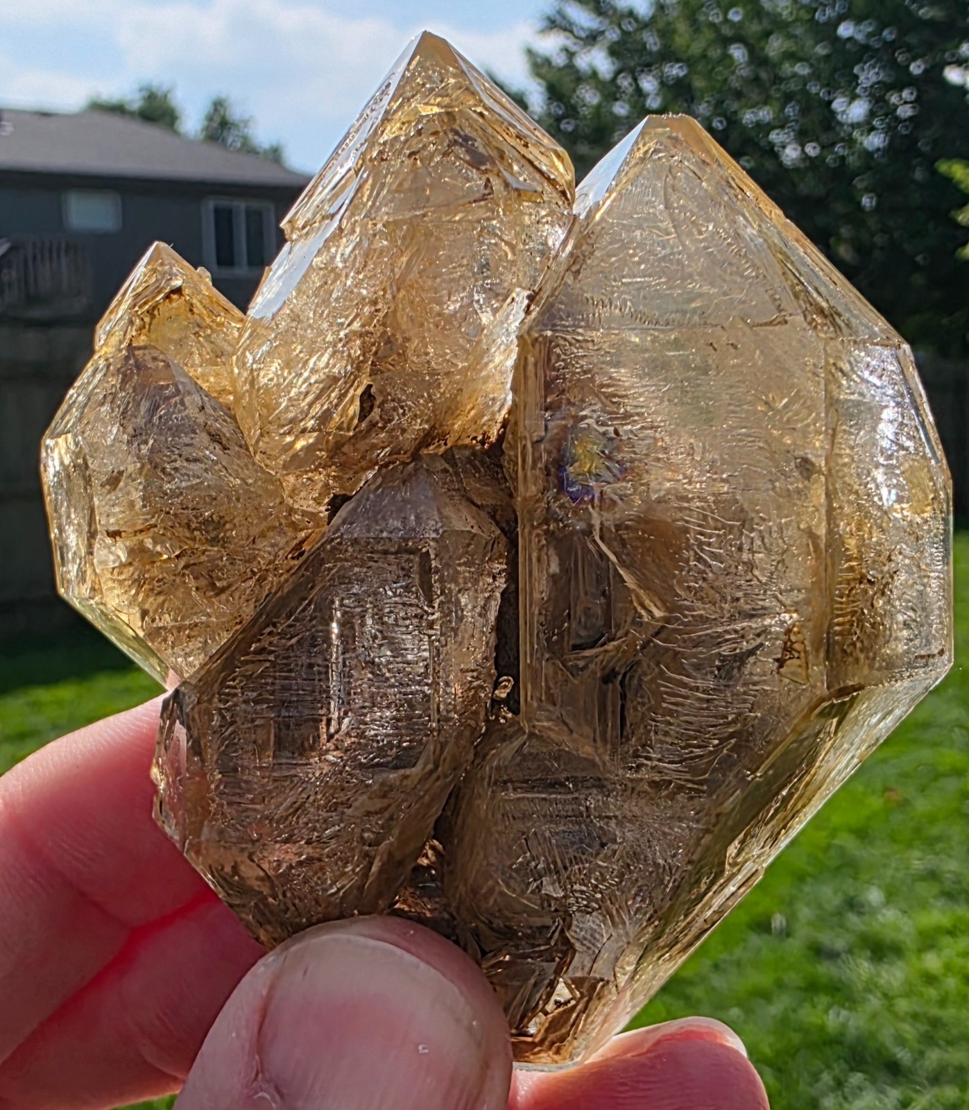 🔥 GOLDEN SMOKY SKELETAL / ELestial FENSTER QUARTZ — BALOCHISTAN, PAKISTAN 🔥