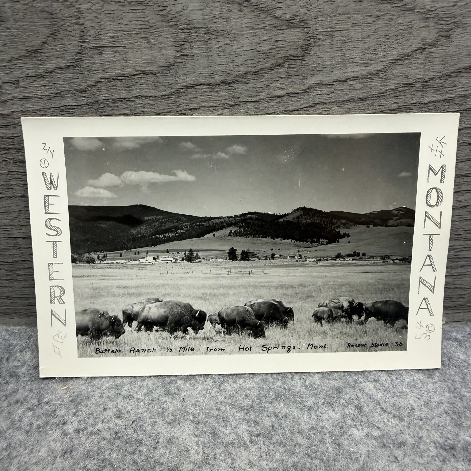 Vtg RPPC Buffalo Ranch Hot Springs Montana Bison Herd Western Real Photo Vtg RPPC Buffalo Ranch Hot Springs Montana Bison Herd Western Real Photo