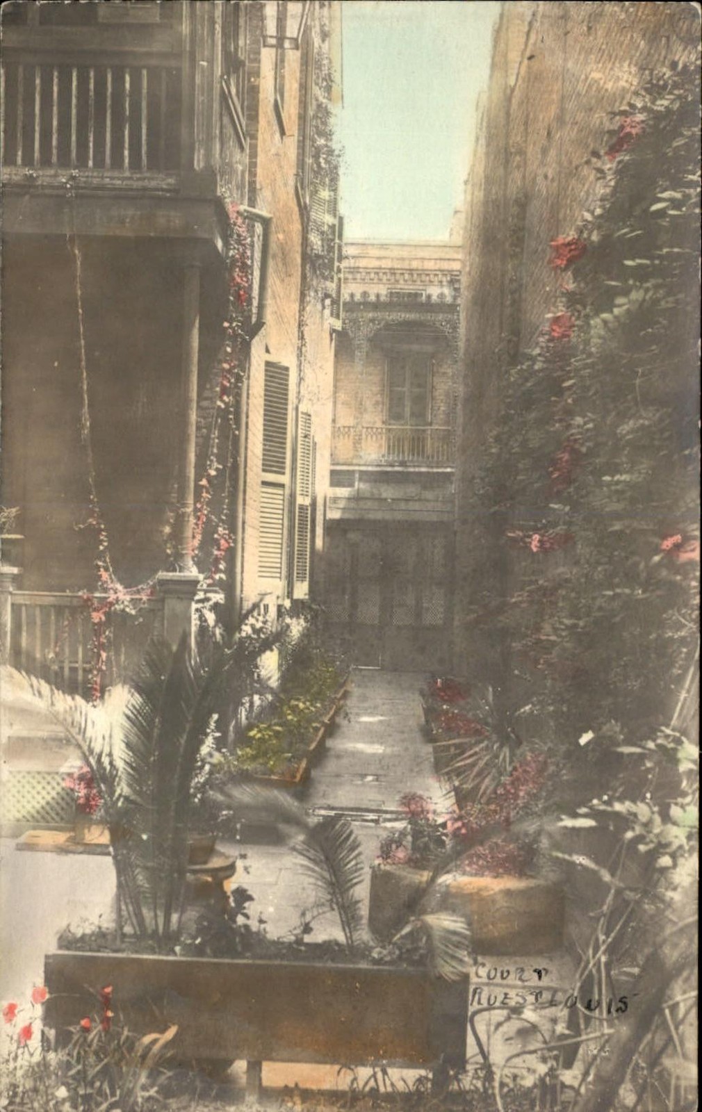 New Orleans LA Rue St. Louis Courtyard c1900s-10s Tinted Real Photo Postcard