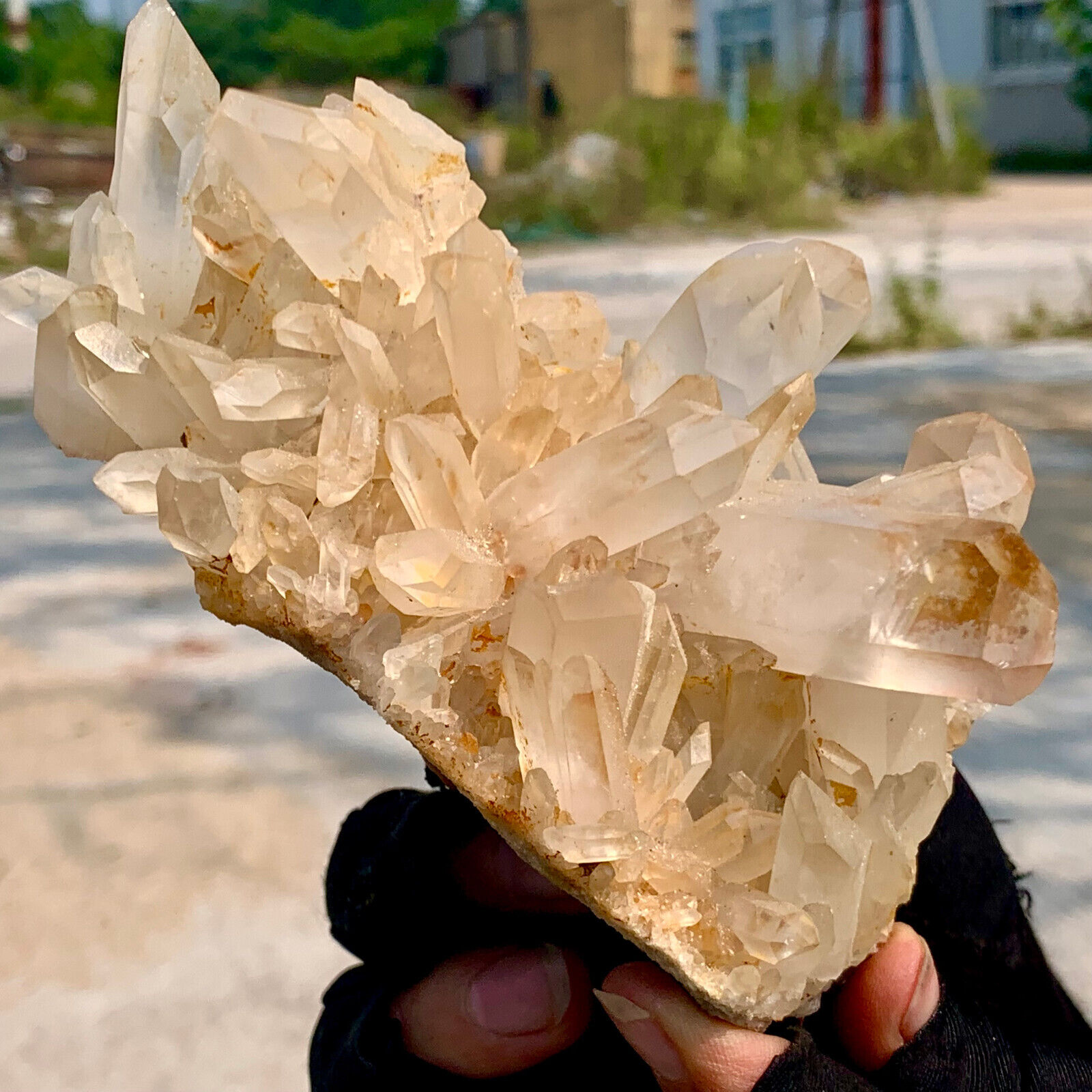 460G   Quartz Cluster Himalayan Crystal /Mineral HIGH GRADE
