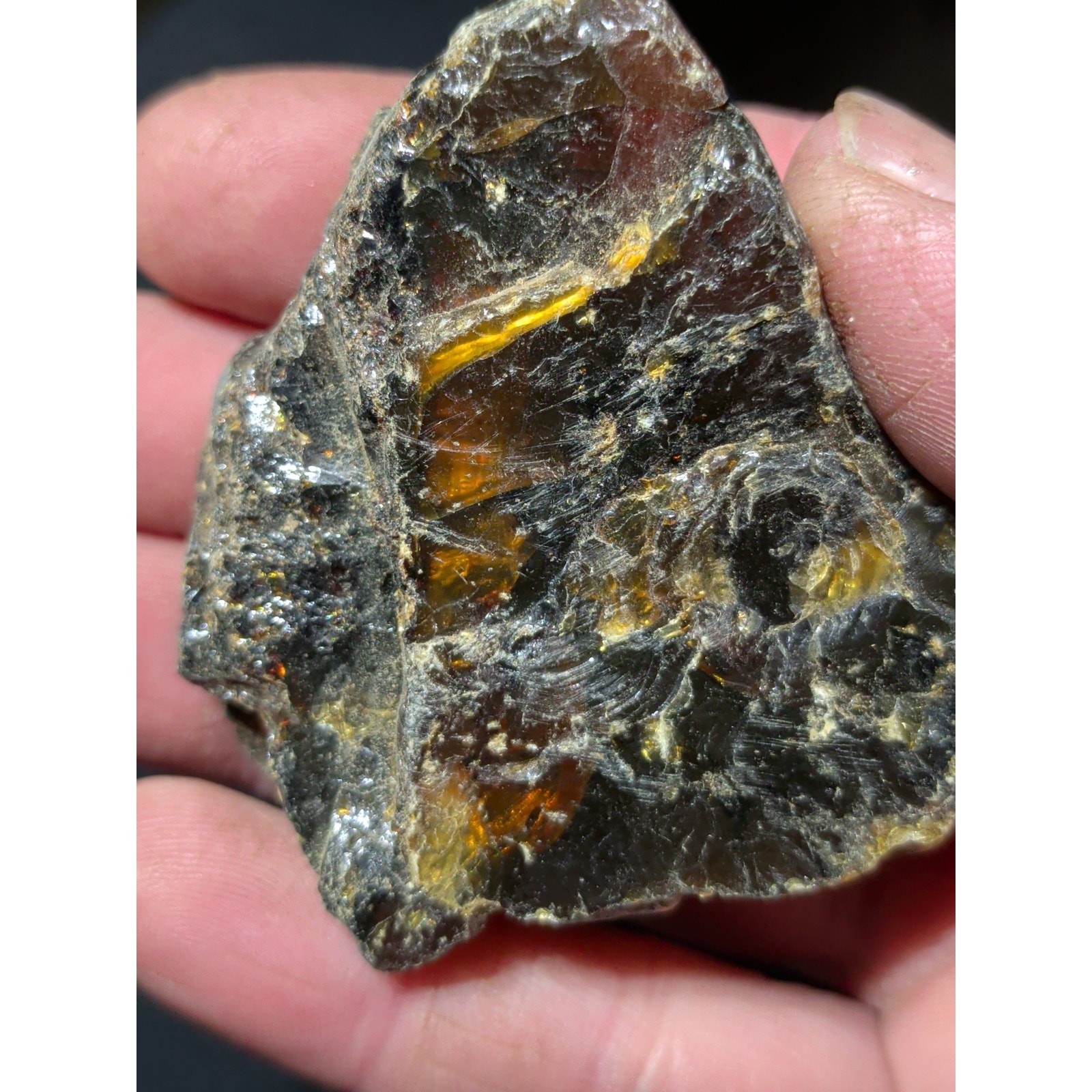 Amber Specimen Natural Form (32 Grams)