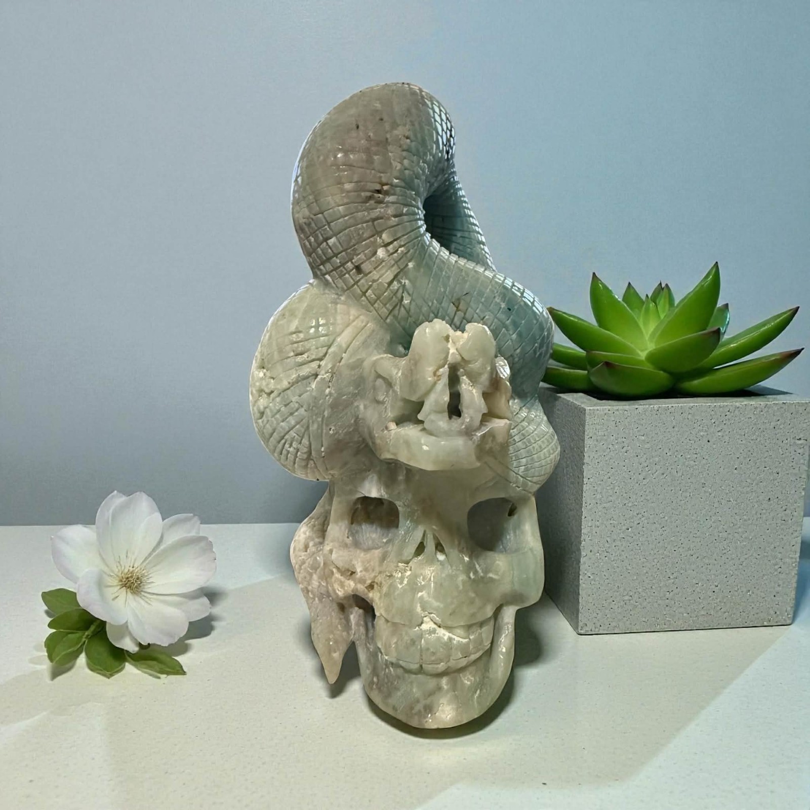 Massive Caribbean Calcite Skull with Snake Massive Caribbean Calcite Skull with Snake