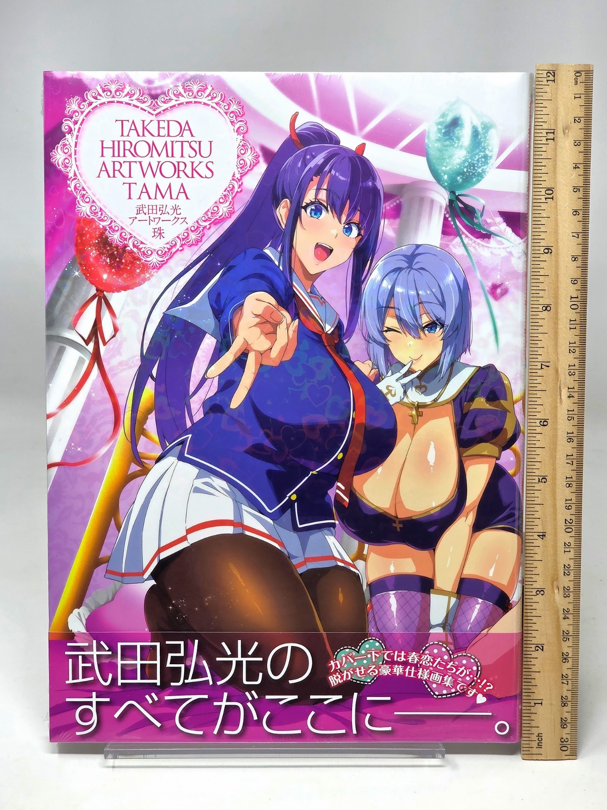 Takeda Hiromitsu Artworks Art Book TAMA Maken-Ki Anime Manga Illustrations JP
