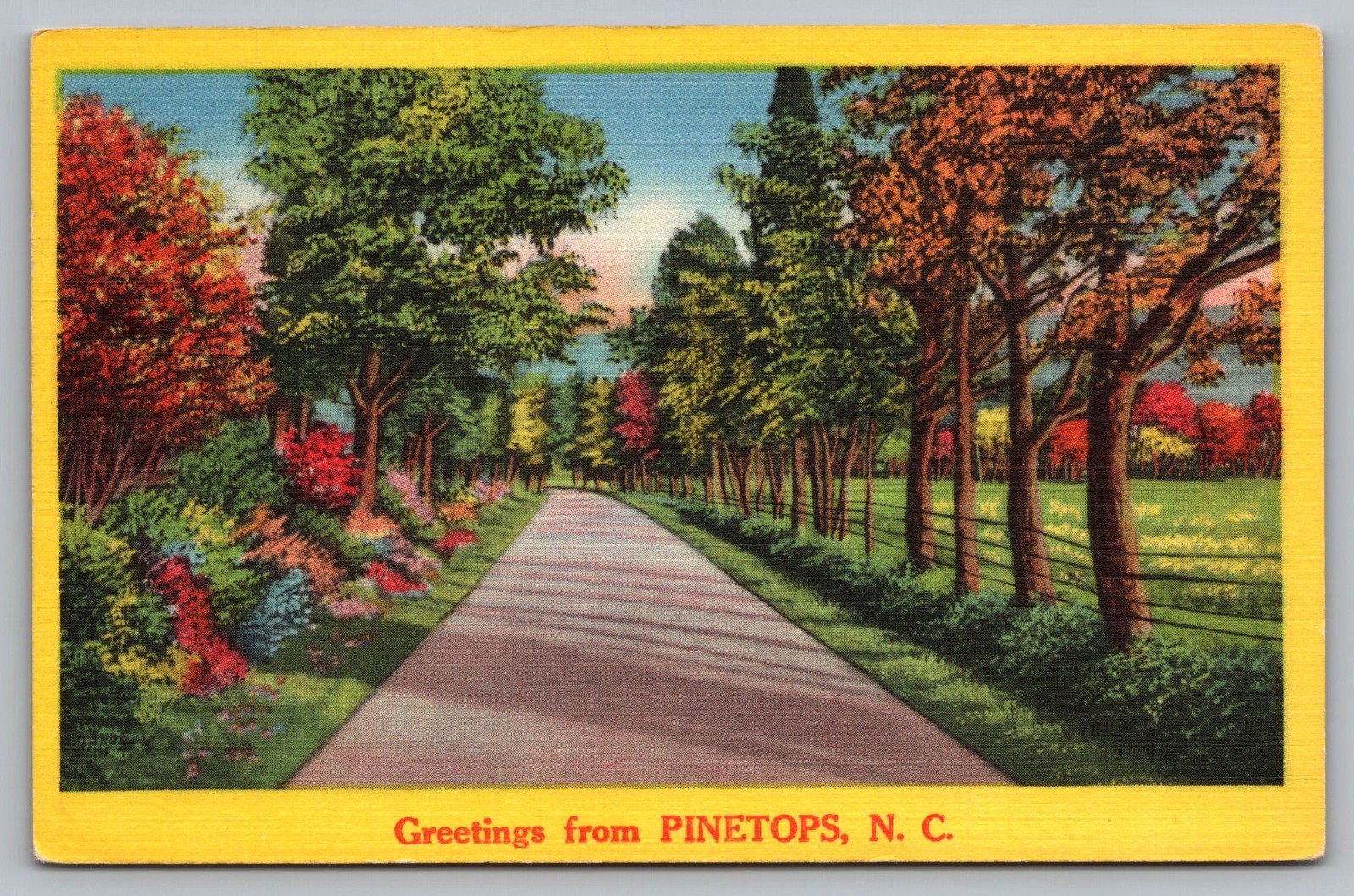 A Scenic Country Road Scene  \