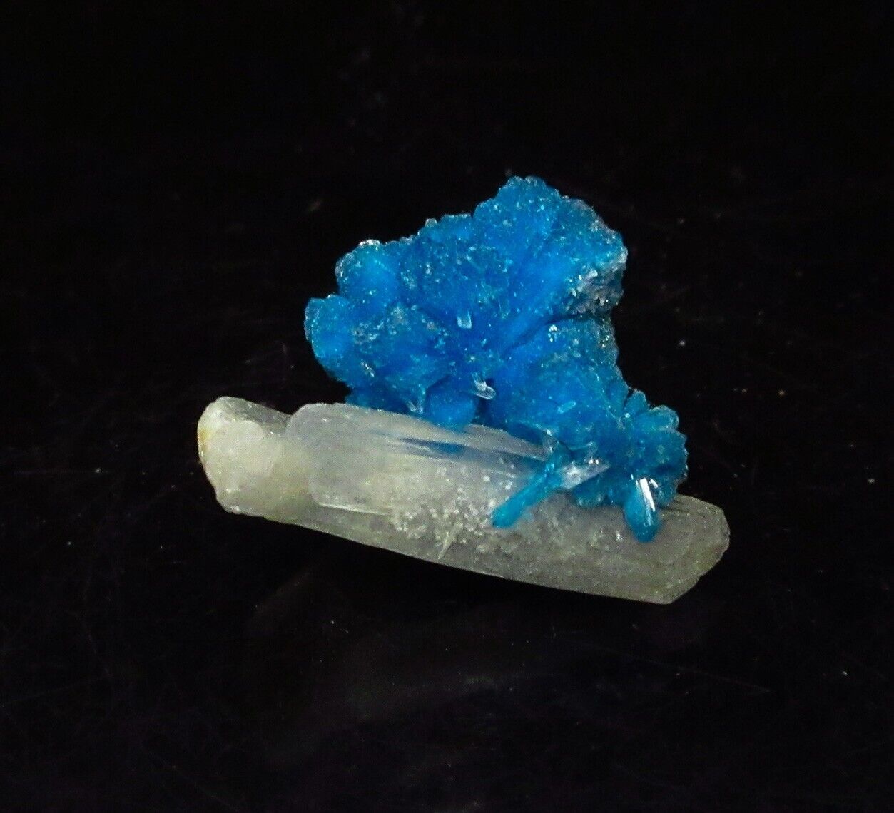 Dark blue Cavansite with stilbite (non-precious natural mineral) #2315