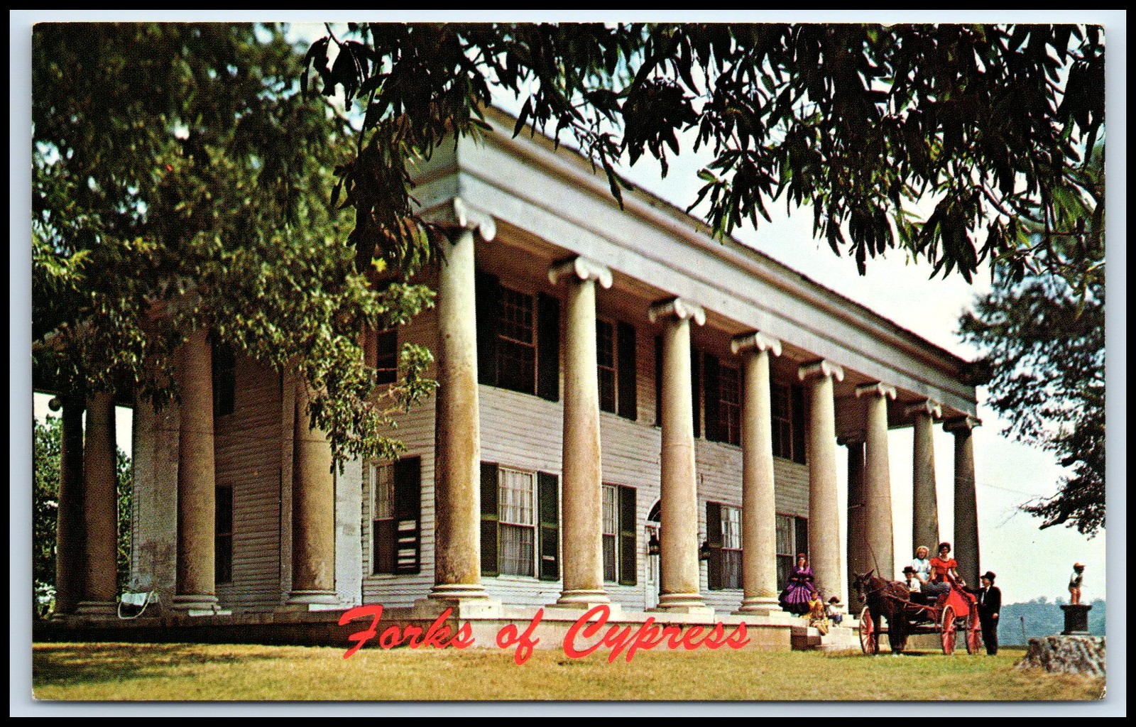 Postcard The Forks Of Cypress Florence, Alabama James Jackson   S67