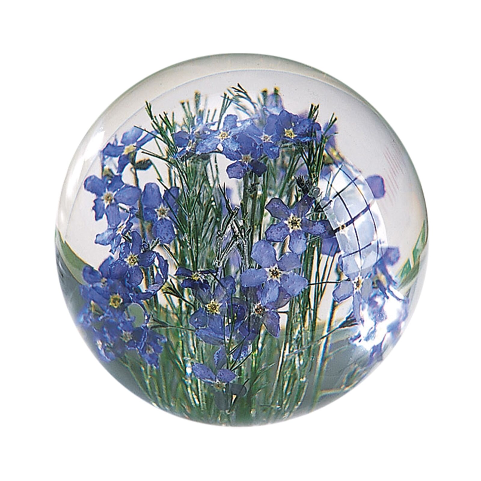 Forget-Me-Not Blue Flower Round Resin Paperweight