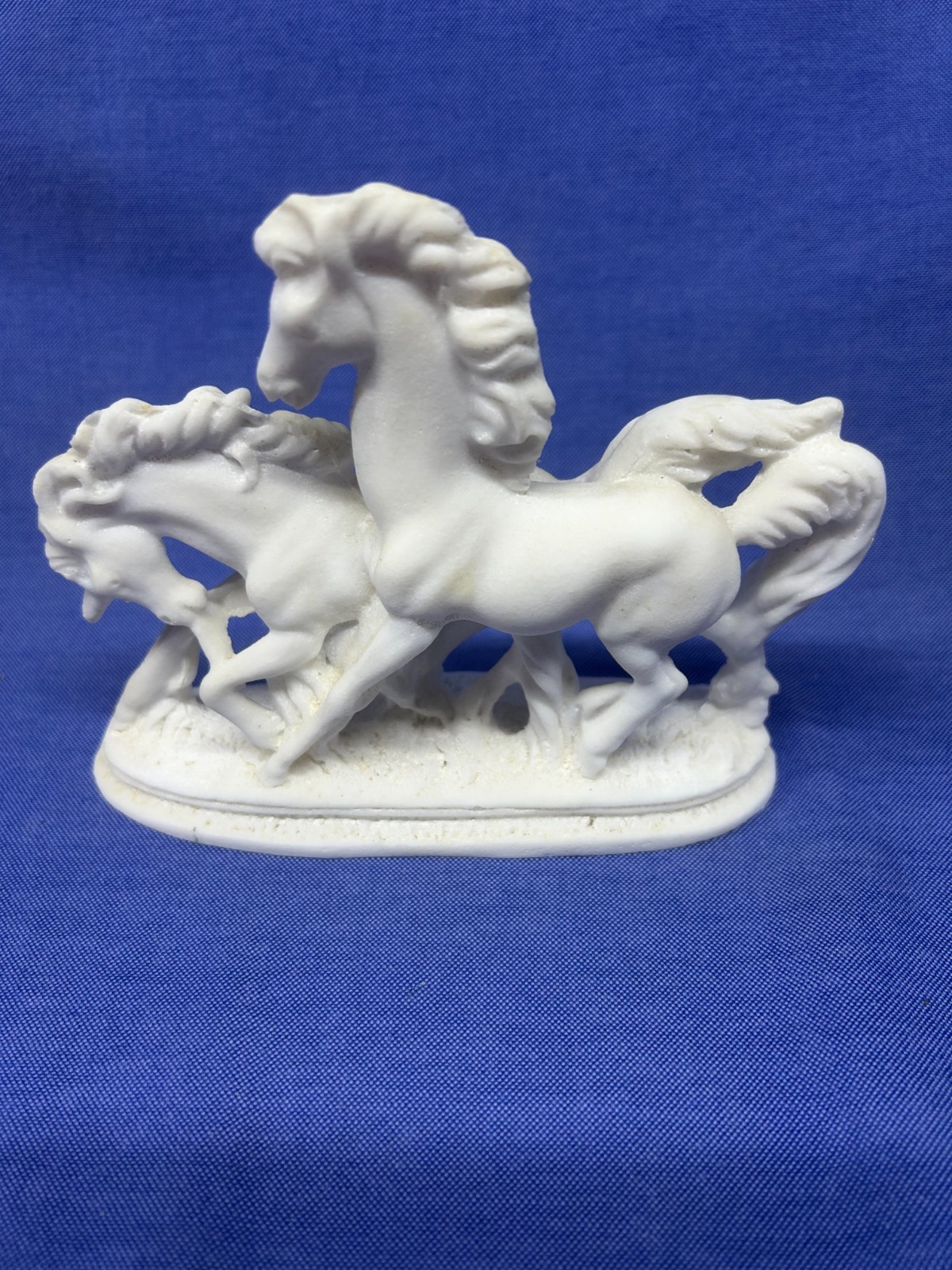 Horses 5\