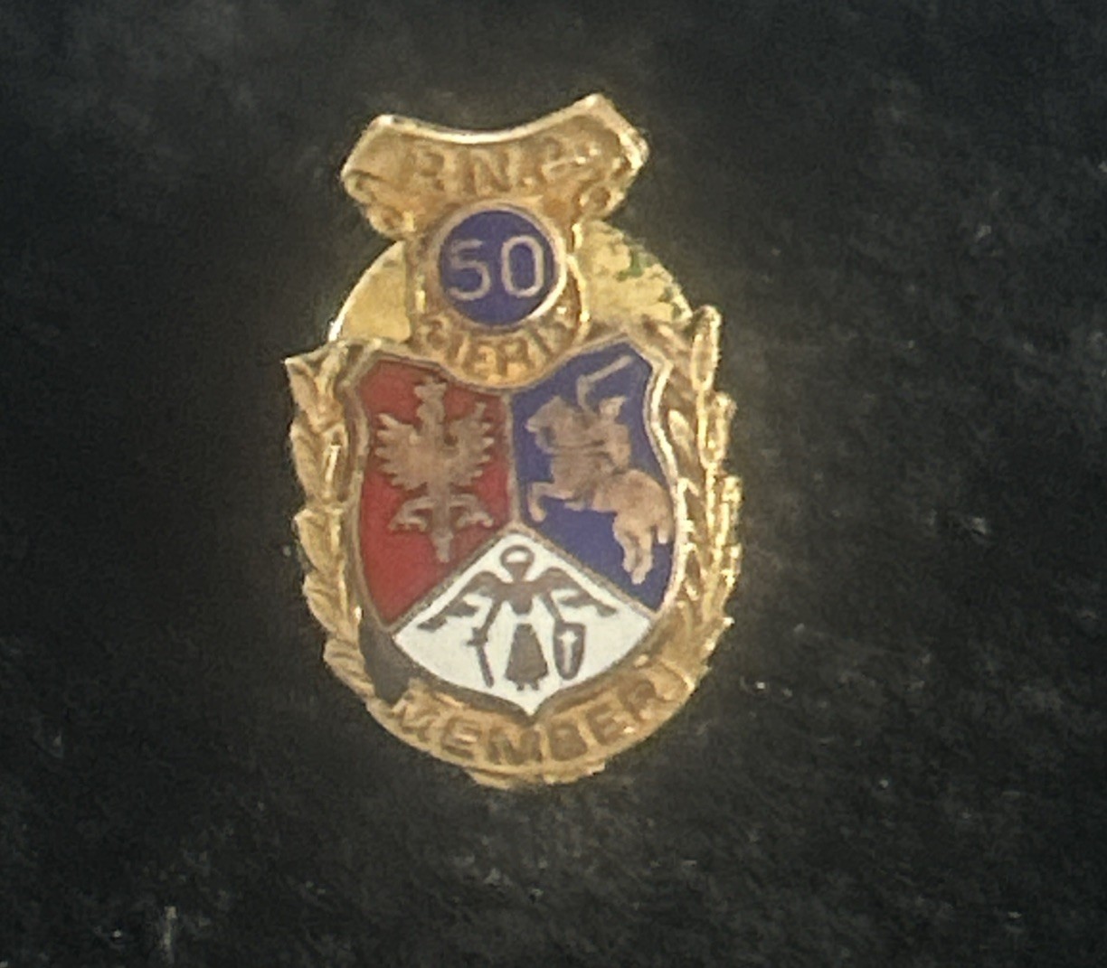 Vintage PNA Member Lapel Pin Polish National Alliance 1/20th 10K Gold 1950’s