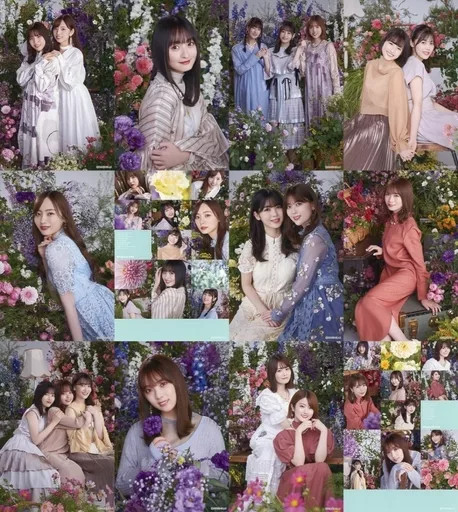 Nogizaka46 Postcard Set 12 pcs Wall Calendar B  Collectible  **Note:** The tit