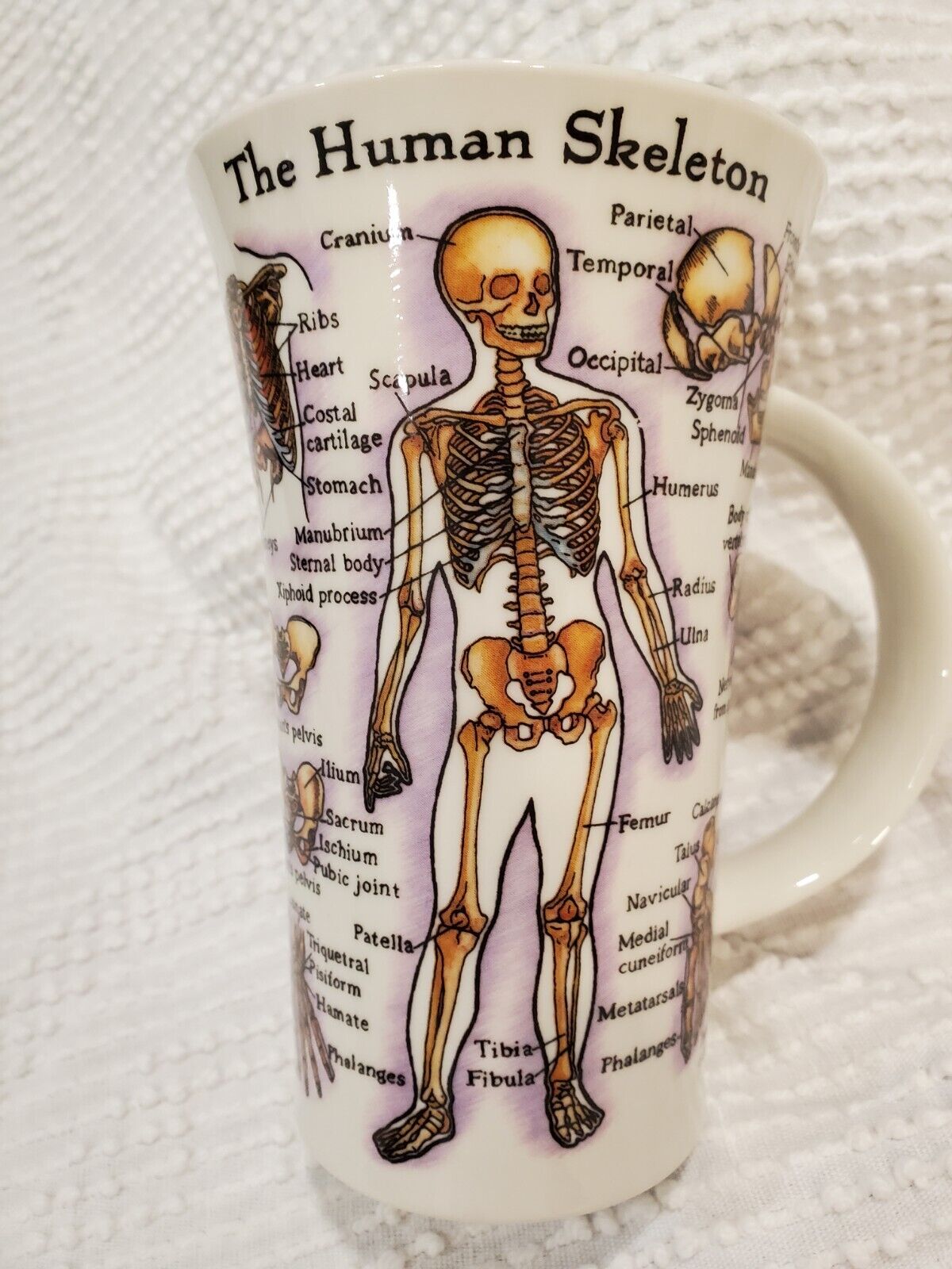 DUNOON THE HUMAN BODY Bone China Mug Made In England
