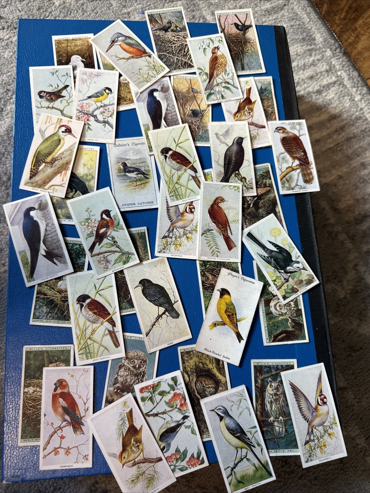 10 x Birds/winged/flying Animals Cigarette/tobacco Cards Random Lot 1920’s-30’s