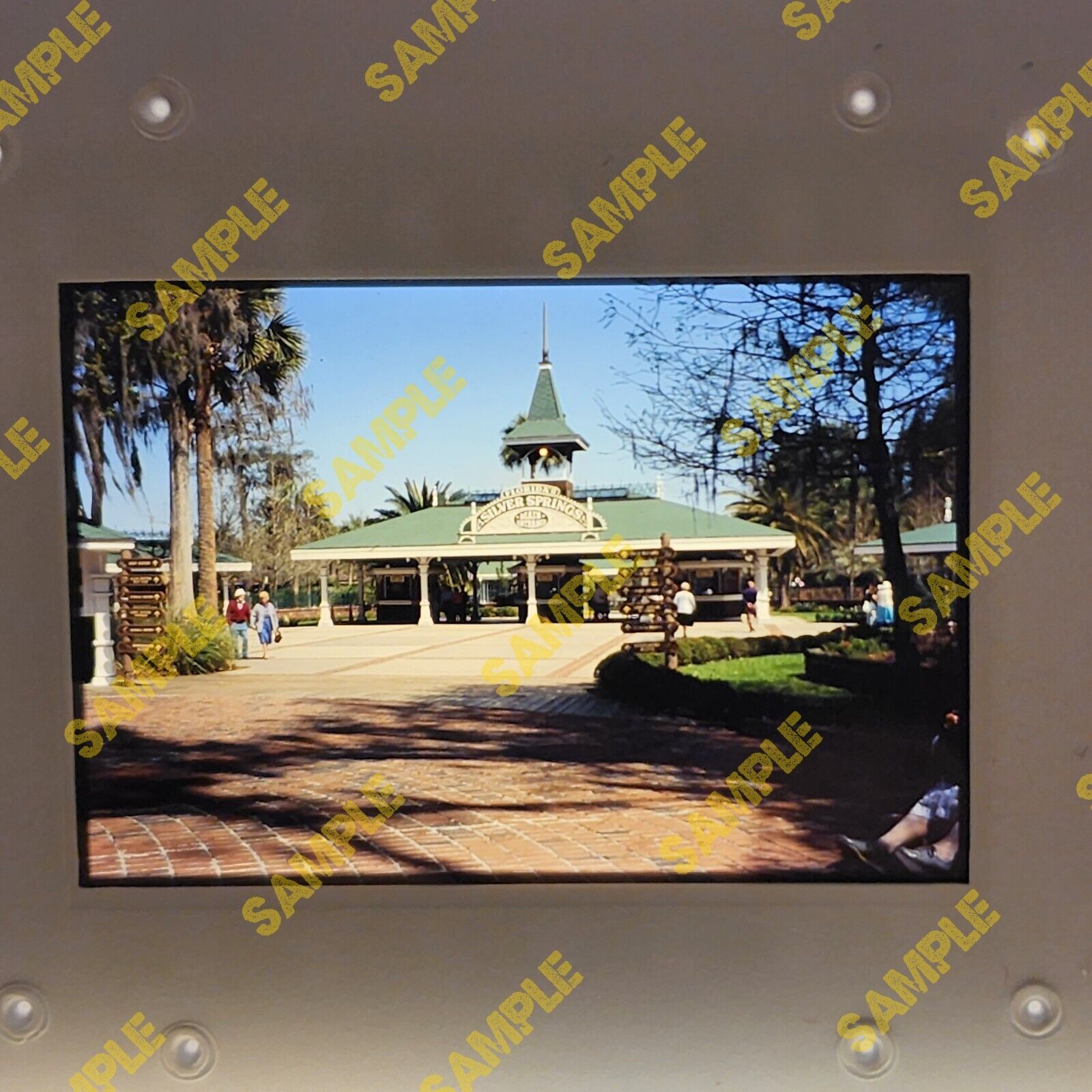 Vintage 35mm Slide - FLORIDA 1992 Silver Springs FL