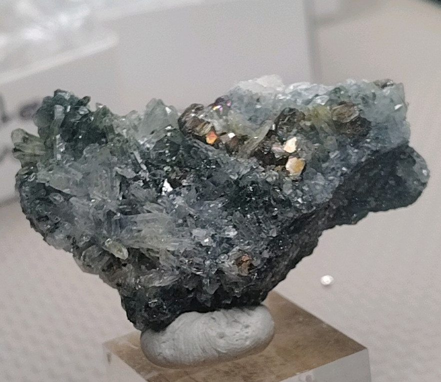 Iridescent Chalcopyrite on Green Chlorite Quartz | 5cm With UV Iridescent Chalcopyrite on Green Chlorite Quartz | 5cm With UV
