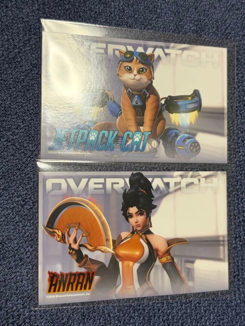 Overwatch Raffle
