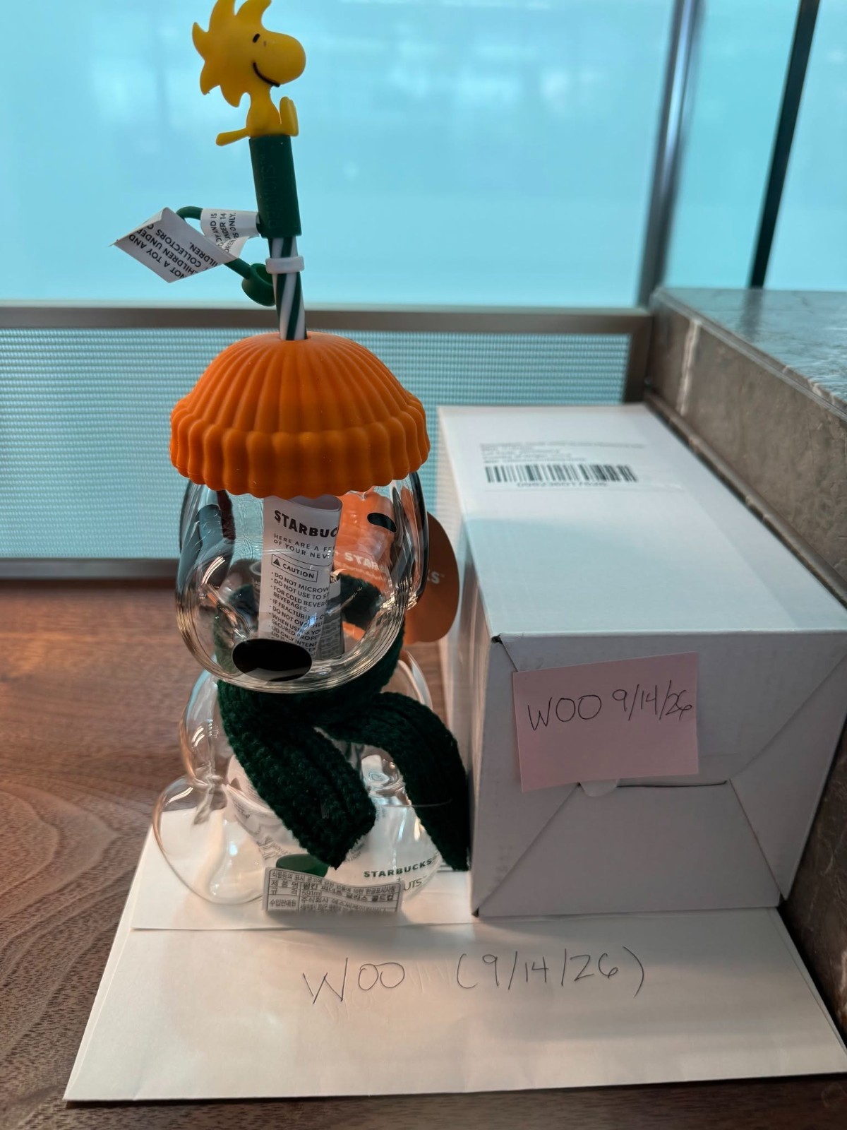 2026 Starbucks Korea Bearistas: Snoopy,FIFA WorldCup Green  & CitrusySummer Blue