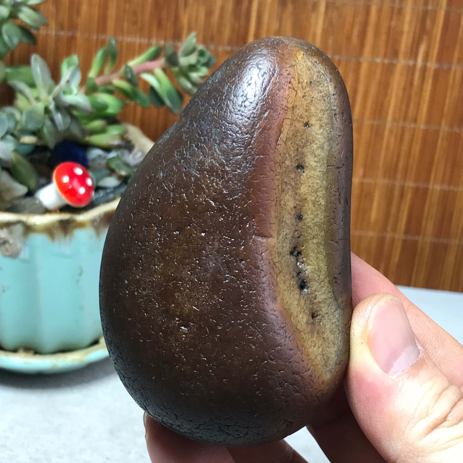 267g natural Bonsai Suiseki Gobi Agate Eyes Stone-Stunning original View A7851