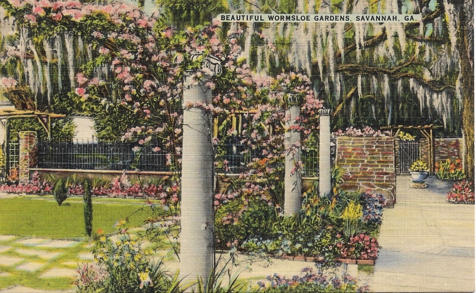 Savannah Postcard Georgia Wormsloe Gardens Nature Colourpicture 1940s Unposted