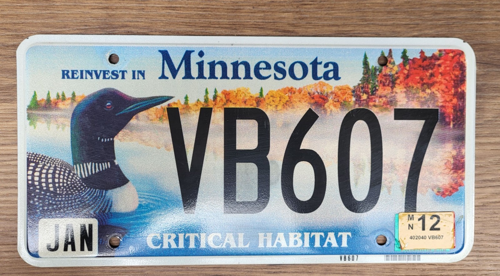 2012 Minnesota Critical Habitat LOON License Plate Tag  #VB607  Wildlife