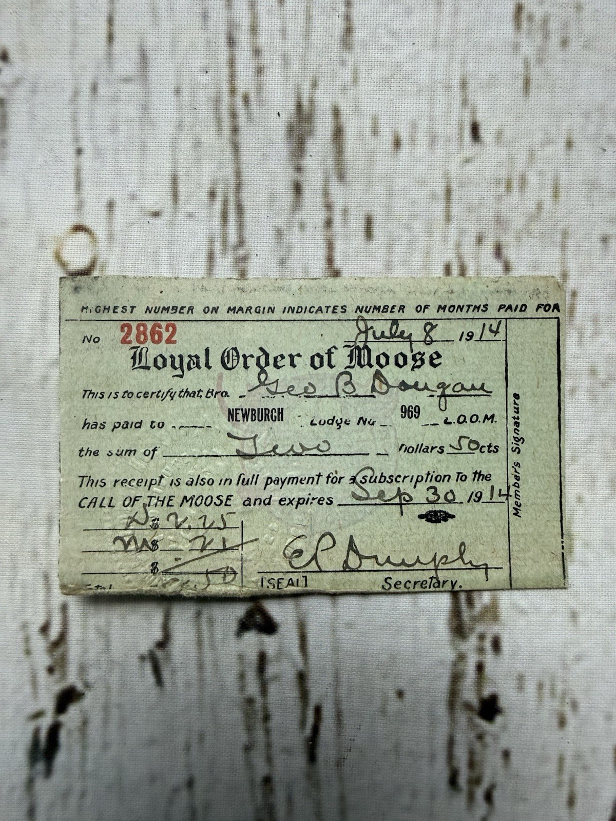 VTG Membership Member Card Annual Loyal Order Of Moose Lodge No 969 LOOM 1910s VTG Membership Member Card Annual Loyal Order Of Moose Lodge No 969 LOOM 1910s