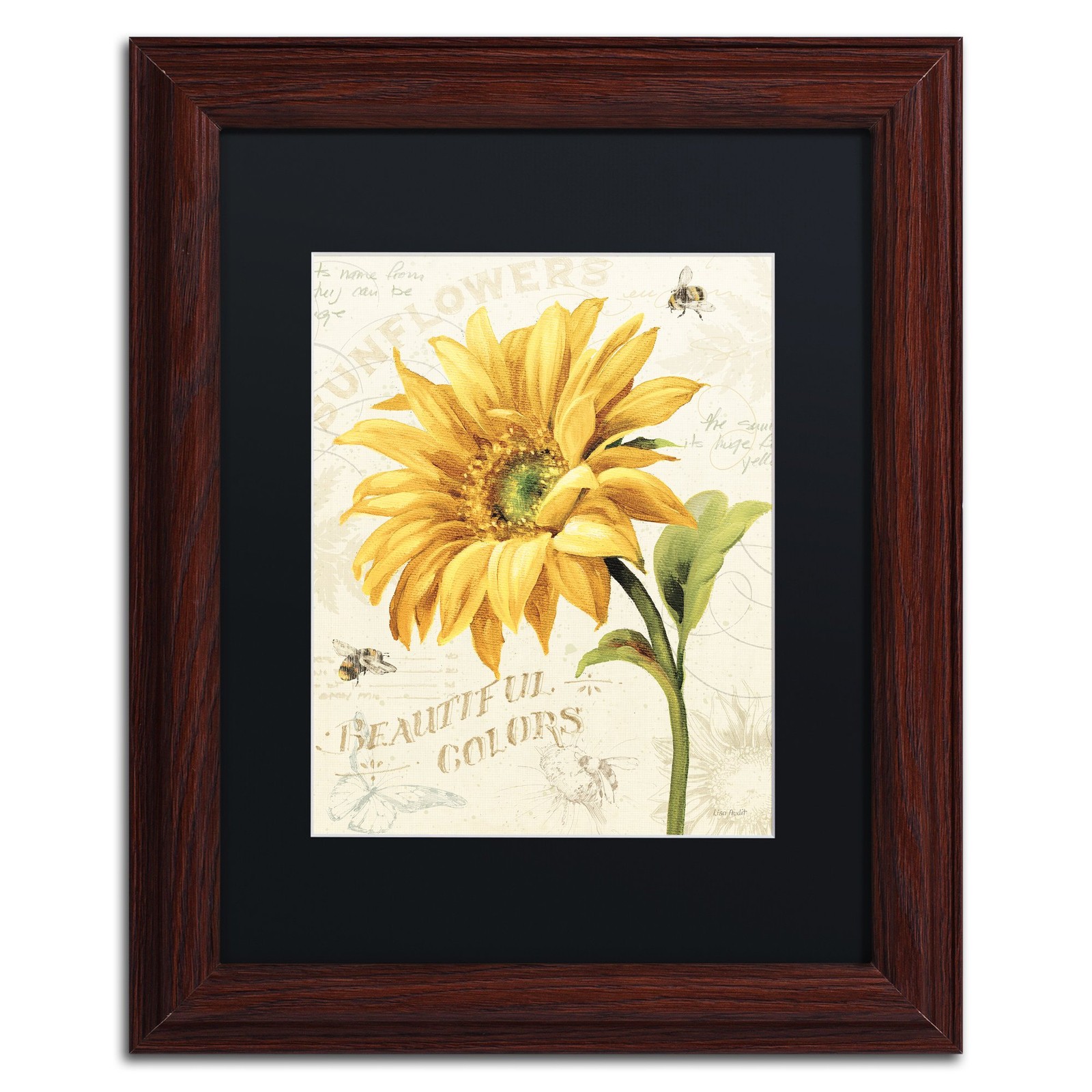 Trademark Fine Art Under The Sun II Black Wood Frame 11x14